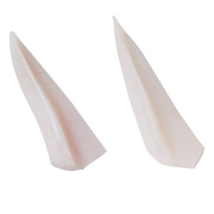 Frozen Chicken Cartilage